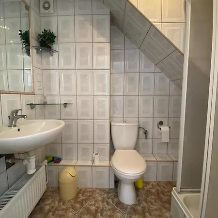 Проживание в семье U Gosi