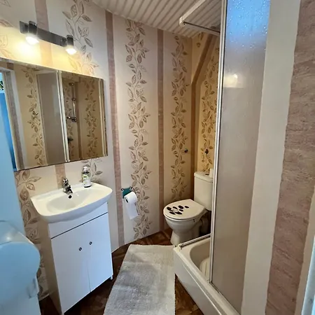 Проживание в семье U Gosi