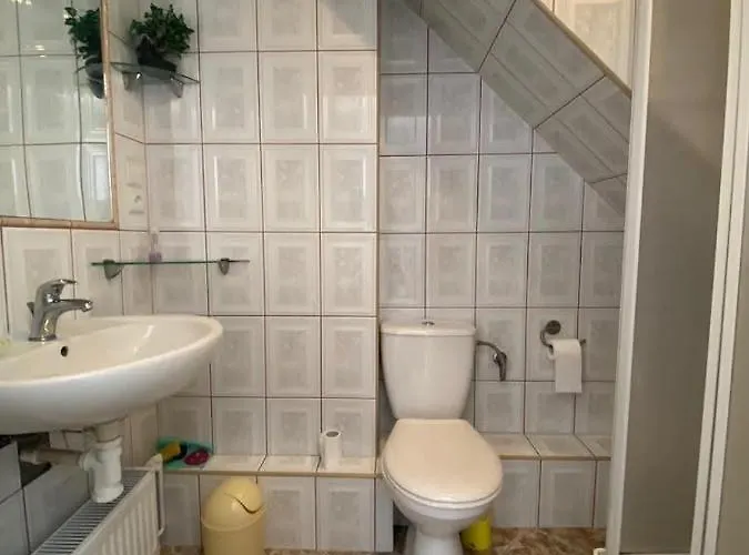 Проживание в семье U Gosi